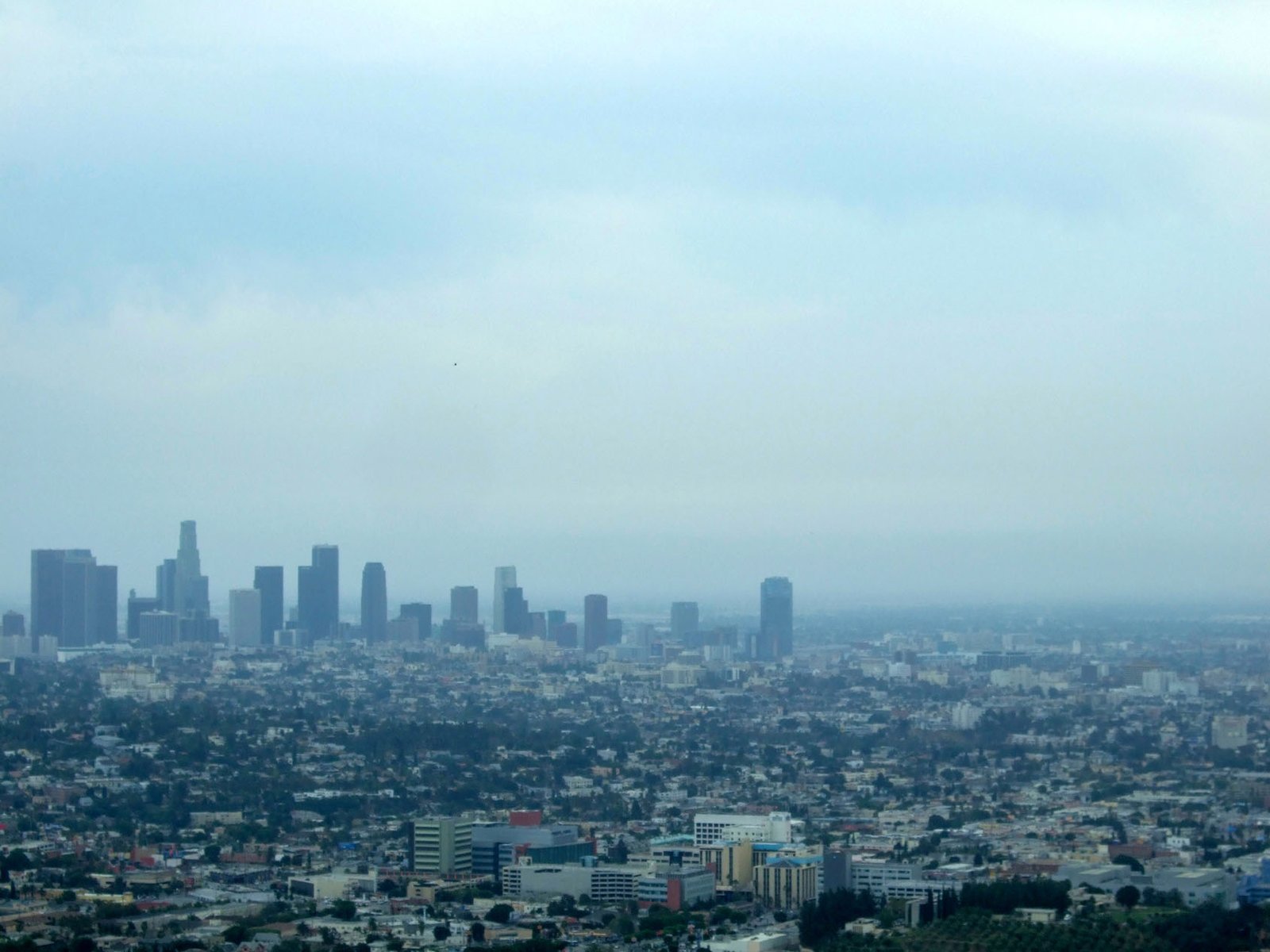 Griffith Observatory  006